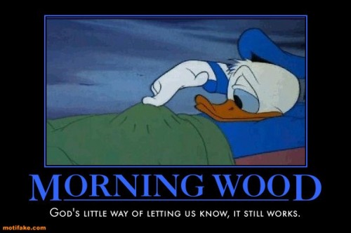 morning-wood-donald-duck-morning-wood-cubby-demotivational-posters-1300754006